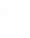 logo-ifes-small